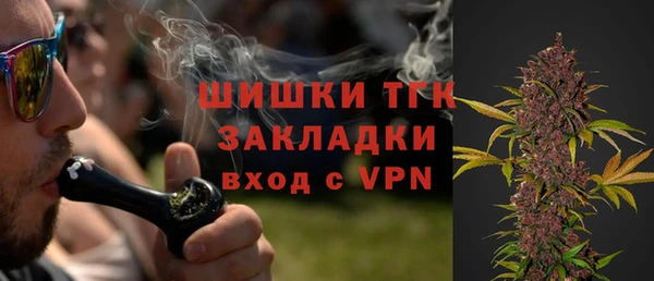 тгк Алексин