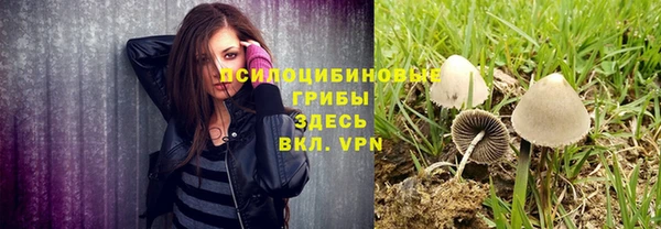 эйфоретик Алексеевка