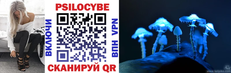 Галлюциногенные грибы Cubensis  blacksprut ссылка  Мичуринск 