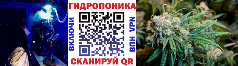 Канабис сатива  Мичуринск 